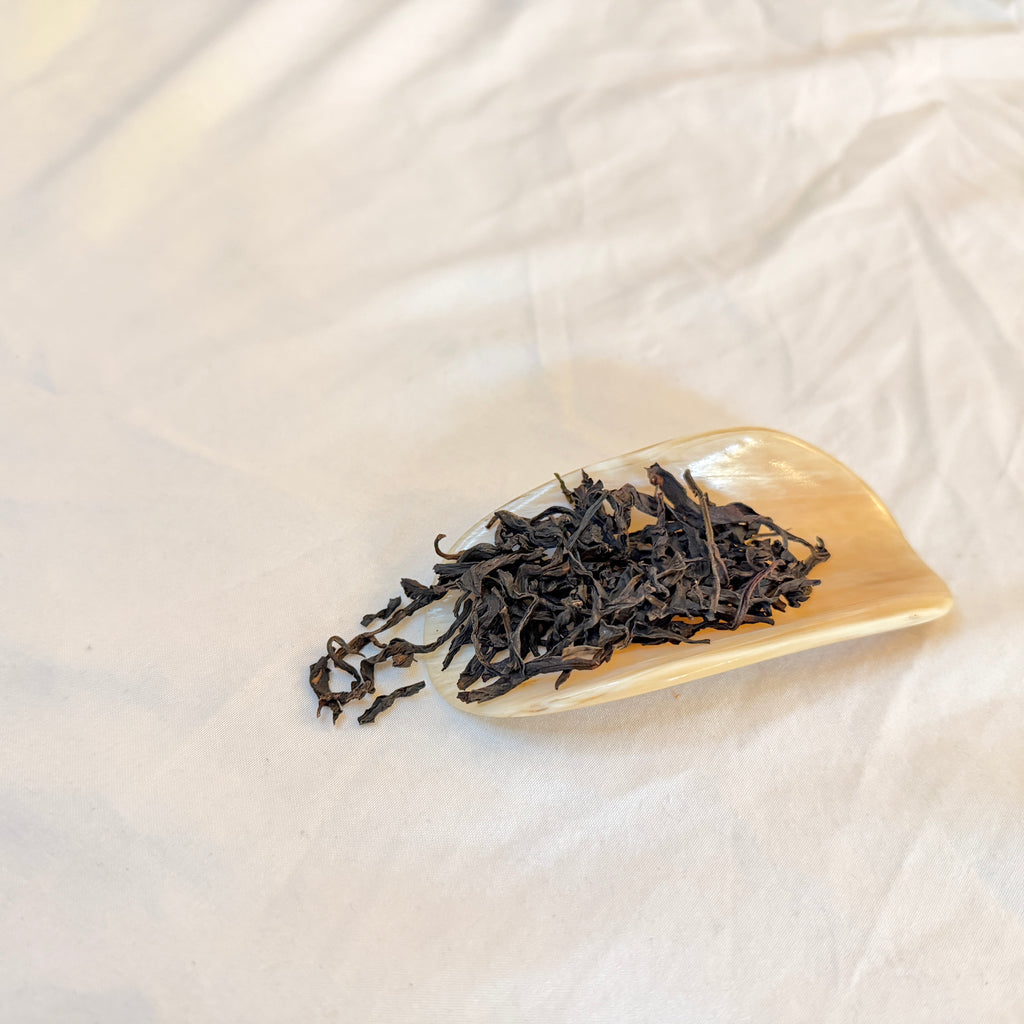 凤凰单丛蜜兰香乌龙茶 | 8盎司散装 | 高香型蜂蜜兰花香 | President Brand 总统牌 | 中国高山乌龙茶 Loose Leaf Oolong In Tin Can