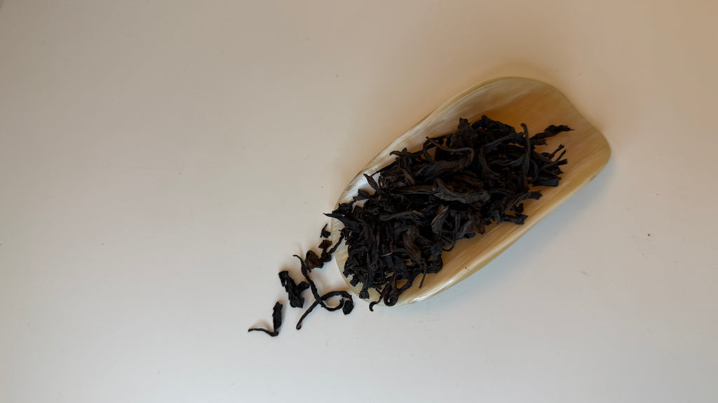 凤凰单丛鸭屎香乌龙茶 | 8盎司散装 | 鸭屎香 | President Brand 总统牌 | 中国高山乌龙茶 Loose Leaf Oolong In Tin Can